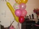 galanis_genethlia_idees5